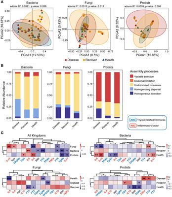 Eukaryotes may play an important ecological role in the gut microbiome of Graves’ disease
